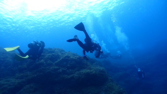 埼玉大学ダイビングクラブ　SUDC